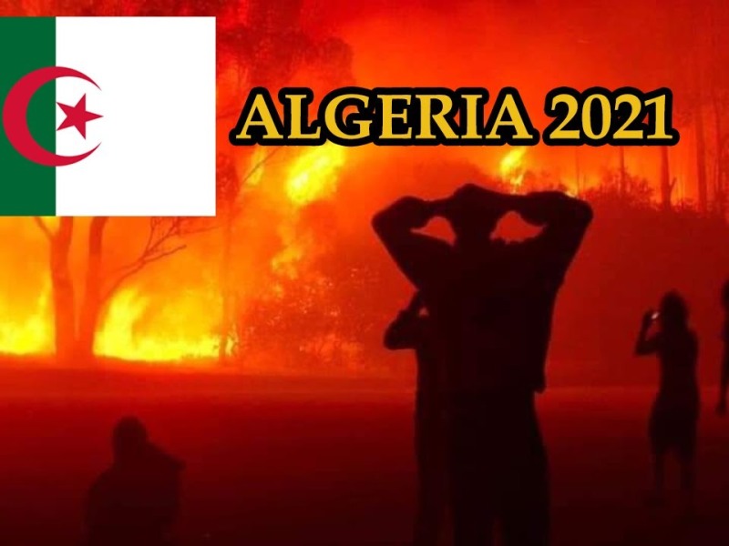 Φωτιές στην Αλγερία – μέχρι στιγμής τουλάχιστον 65 νεκροί